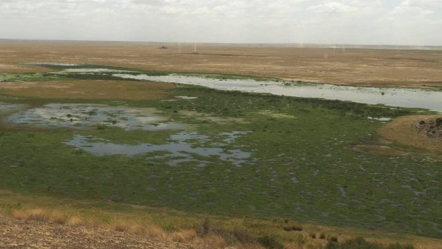 pan of enkongo narok swamp from observation hill in amboseli national park, kenya