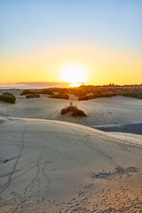 Sunset over sand dunes on Canary islands / Maspalomas - Spain 