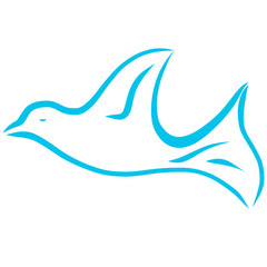 A flying blue dove, bird