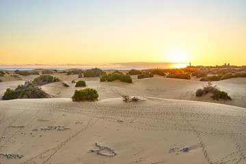 Sunset over sand dunes on Canary islands / Maspalomas - Spain 