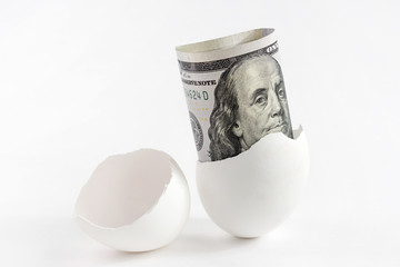 100 dollar cash hatched from egg on white background. easter Financial concept