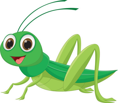 Cute Grasshopper Cartoon
