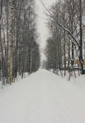 Winter Nature Rural Landscape View of Train Railway Track Pathway Covered in Snow. Railroad Perspective, Outdoor Scene with No People Around and Empty Background Copy Space in the Middle. 