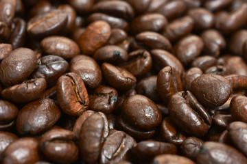 Coffee Bean Close Up 
