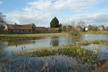 Fototapeta premium The village green, reputedly the longest in England, in spring sunshine, Frampton on Severn, Gloucestershire, UK