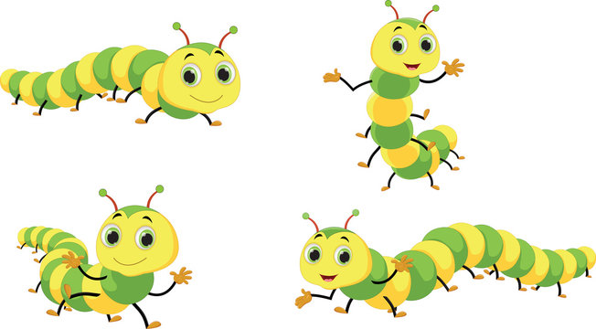 Cute caterpillar cartoon set