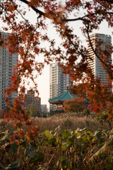 新旧入り混じる秋