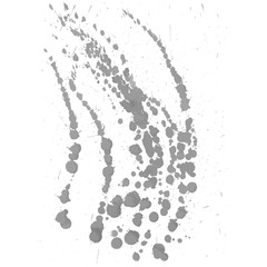 Obraz premium Gray paint Ink splash, isolated on white background. Vector Splats. Blots and Splashes. Grunge Ink Stains