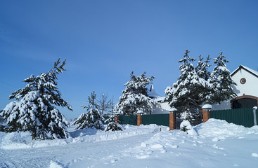 Winter landscape with cottage on turn blue background