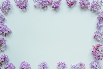 Flowers composition. Tender background. Beautiful fresh lilac flowers on gray background