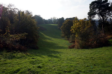 Obraz premium Autumnal Rolling Hillside