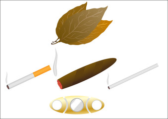 Cigarette and cigar on white (Tobacco)