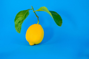 fresh lemon with green leaves on a blue background