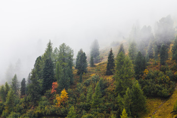 Typical beautiful landscape in Dolomites