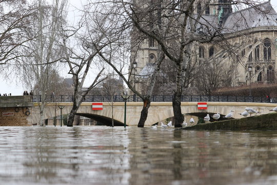 Paris, inondations 2018, 5