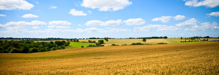 Fototapeta premium France > Paysage > Campagne > Printemps