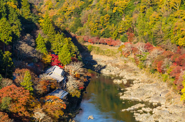 top view point of the river and forest in autumn season, beautiful fall colorful at Arashiyama, Kyoto, Japan