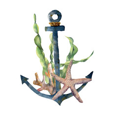 Watercolor anchor with laminaria branch and coral reef. Hand painted underwater illustration with starfish, seaweed leaves isolated on white background. Nautical illustration for design. © yuliya_derbisheva