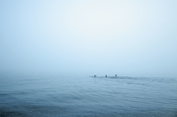 men swimming in the sea with Fog in Barceloneta beach Barcelona