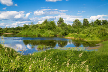 Beautiful summer rural landscape with a river