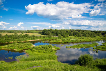 Obraz na płótnie Canvas Beautiful summer rural landscape with a river