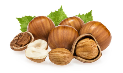 Hazelnuts isolated on white background