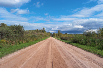Fototapeta na wymiar Scenic gravel road in forest. Rural country road