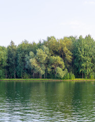 green water in the forest lake. background.