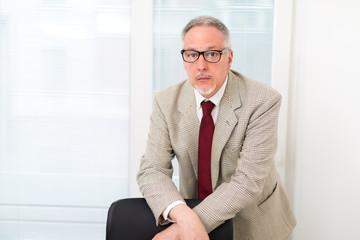 Senior businessman in his office