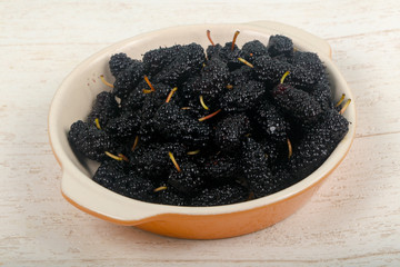 Black Mulberry