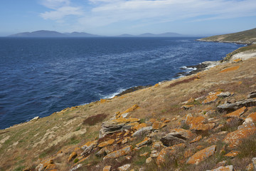 Rocky northern coast of Carcass Island in the Falkland Islands