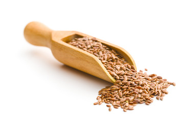 Healthy brown linseeds.