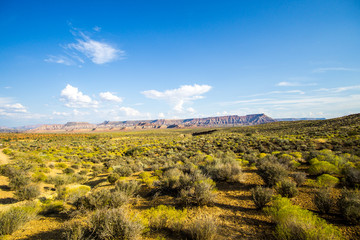 Utah Landscape