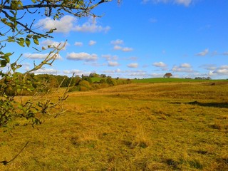 sommerliche Landschaft