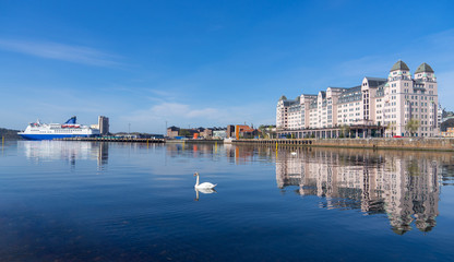 a swan swiming the sea with cityscape of oslo 
