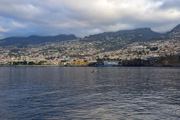 Fototapeta premium Funchal View, Madeira