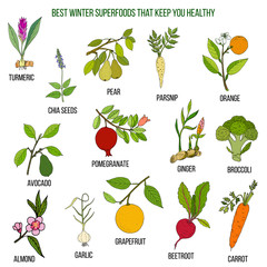 Best winter superfoods that keep you healthy