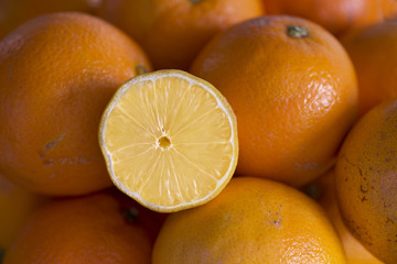 Group of oranges and a lemon cut in half