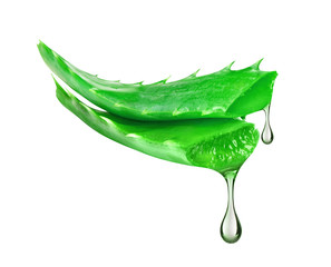 Essence from aloe vera plant drips from stems on white