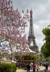 Spring blossom near by the Eifel Tower