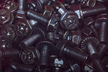 Black Screws Close Up