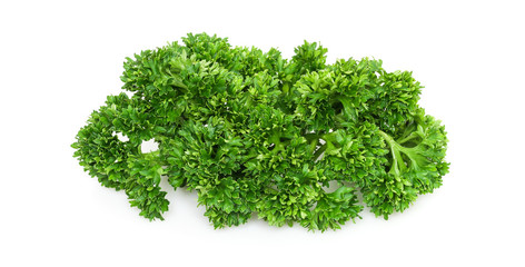 Petersilie im Detail