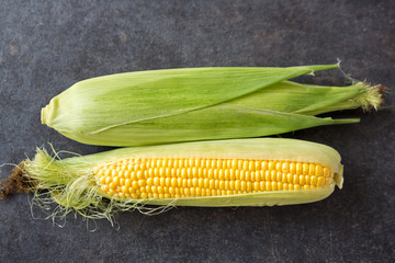 freshly harvested yellow sweet corn.