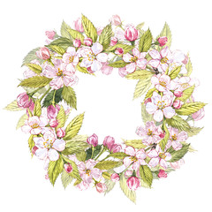 Hand-drawn watercolor wreath of flowers of apples and leaves illustration. Watercolor botanical illustration isolated on white background.