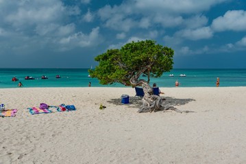 panorama of the Eagle Beach white beach of the Caribbean sea Island of Aruba