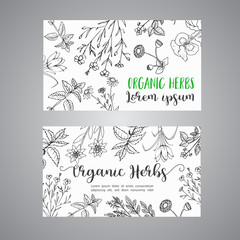 Herbs and Wild Flowers. Hand drawn herbal design with spices, medicinal, cosmetic plants. Illustration for advertising, brochures, flyers, modern promotion.