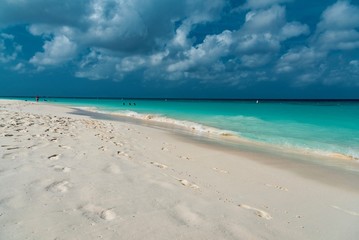 panorama on Eagle beach one of the most beautiful beaches of the Caribbean on the island of Aruba, Netherlands Antilles