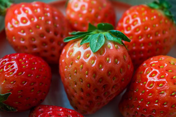 Fresh strawberries with leaves. Strawberry.