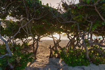 extraordinary sunset on the caribbean with palm trees and white beaches