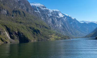 Fototapeta premium A cruise leaving harbor of Gudvangen to Flam, Norway